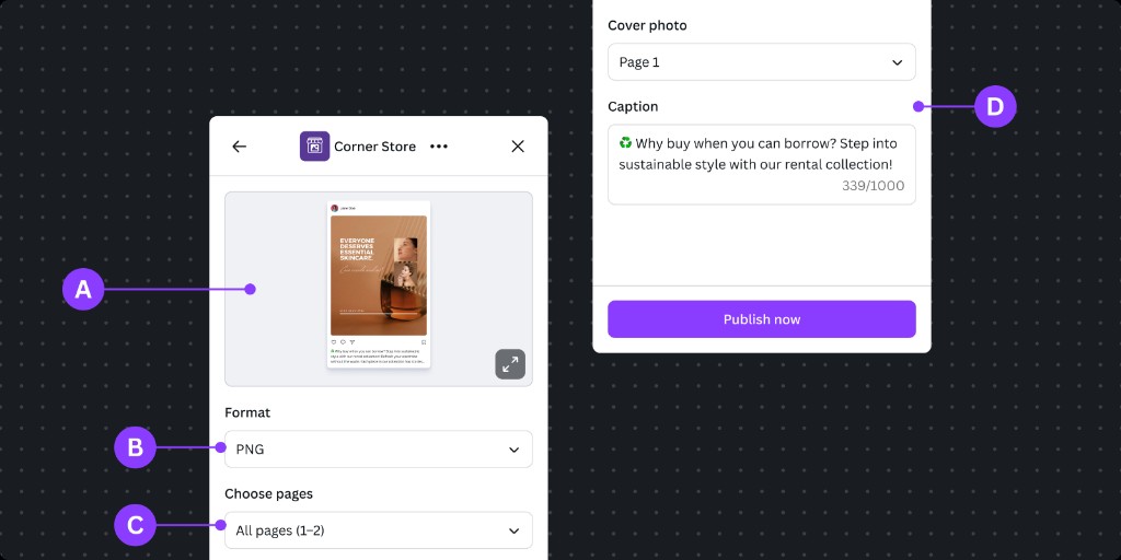 Design guideline image explaining the UI boundaries: the Canva-manged UI with minified preview (A), output type selection drop-down (B), page selection (C), and the platform-specific App Settings UI including cover photo, and caption field (D)